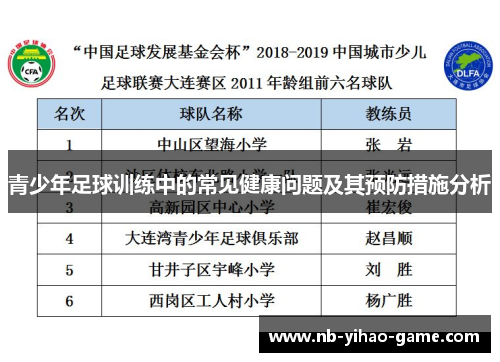 青少年足球训练中的常见健康问题及其预防措施分析