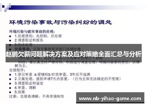 赵鹏欠薪问题解决方案及应对策略全面汇总与分析